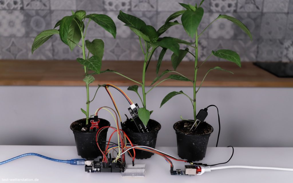 Pflanzenbild mit Feuchtigkeitssensoren Arduino